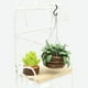 thumbnail image 2 of Casa de Miniatura Planta Colgante de Arcilla para Kit de Jardín de Hadas a 1/12, 2 of 7