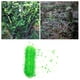 thumbnail image 4 of Red de enrejado verde para frutas, vides, pepinos, uvas, tomates y plantas trepadoras. Los 2x10m, 4 of 9