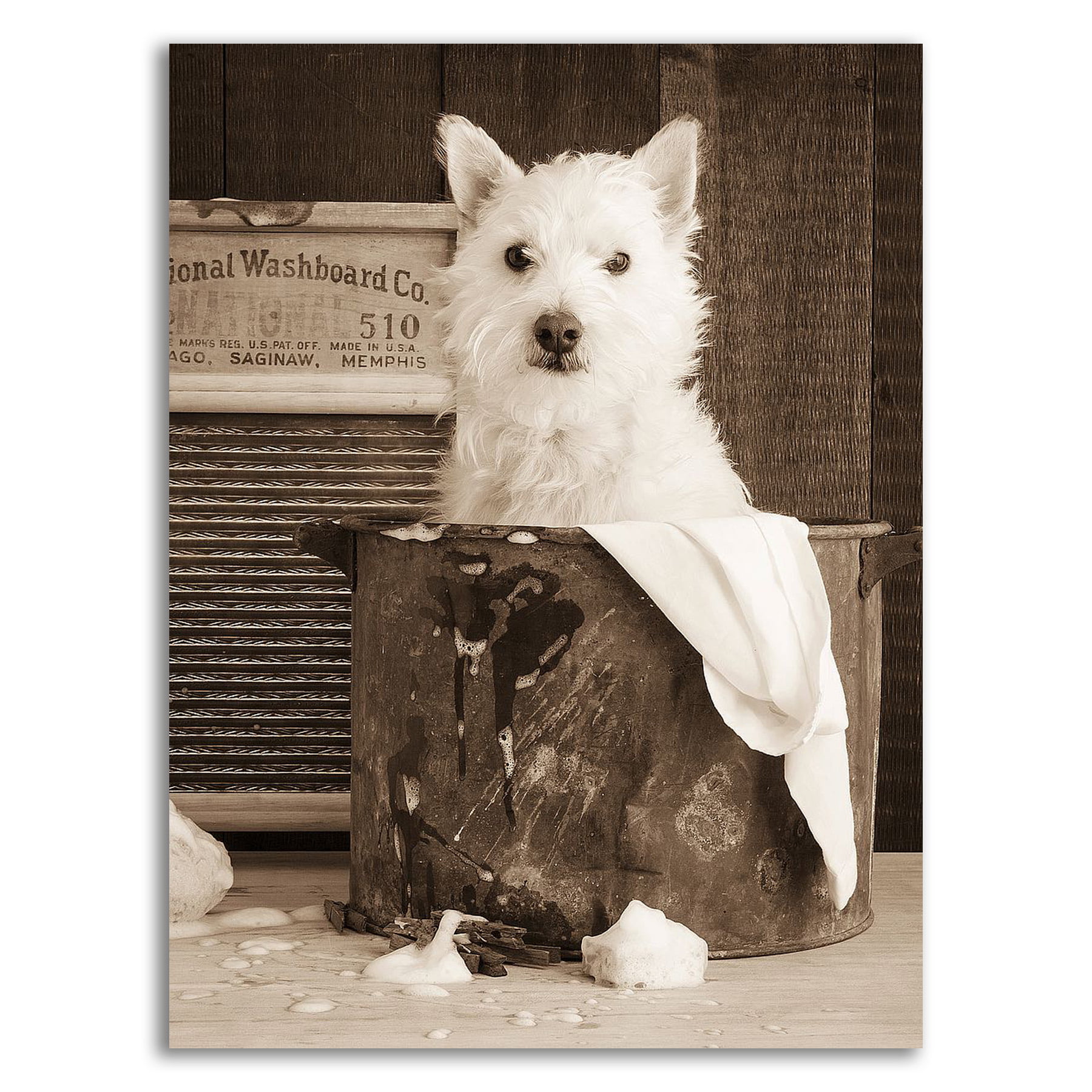 WESTIE TERRIER CARRYING FLOWER BASKET VINTAGE STYLE DOG ART PRINT READY MATTED 