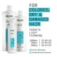 thumbnail image 3 of Acondicionador Nioxin System 3 para espesar el cuero cabelludo y el cabello, 300 ml, 3 of 9