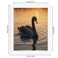 thumbnail image 2 of Paint by Numbers Kit for Adults, Tranquil Swan Sunset Lake Paint by Numbers, Easy Paint by Numbers Kit for Adults Beginner, DIY Adult Paint by Number Kits on Canvas, Home Decor, 2 of 7