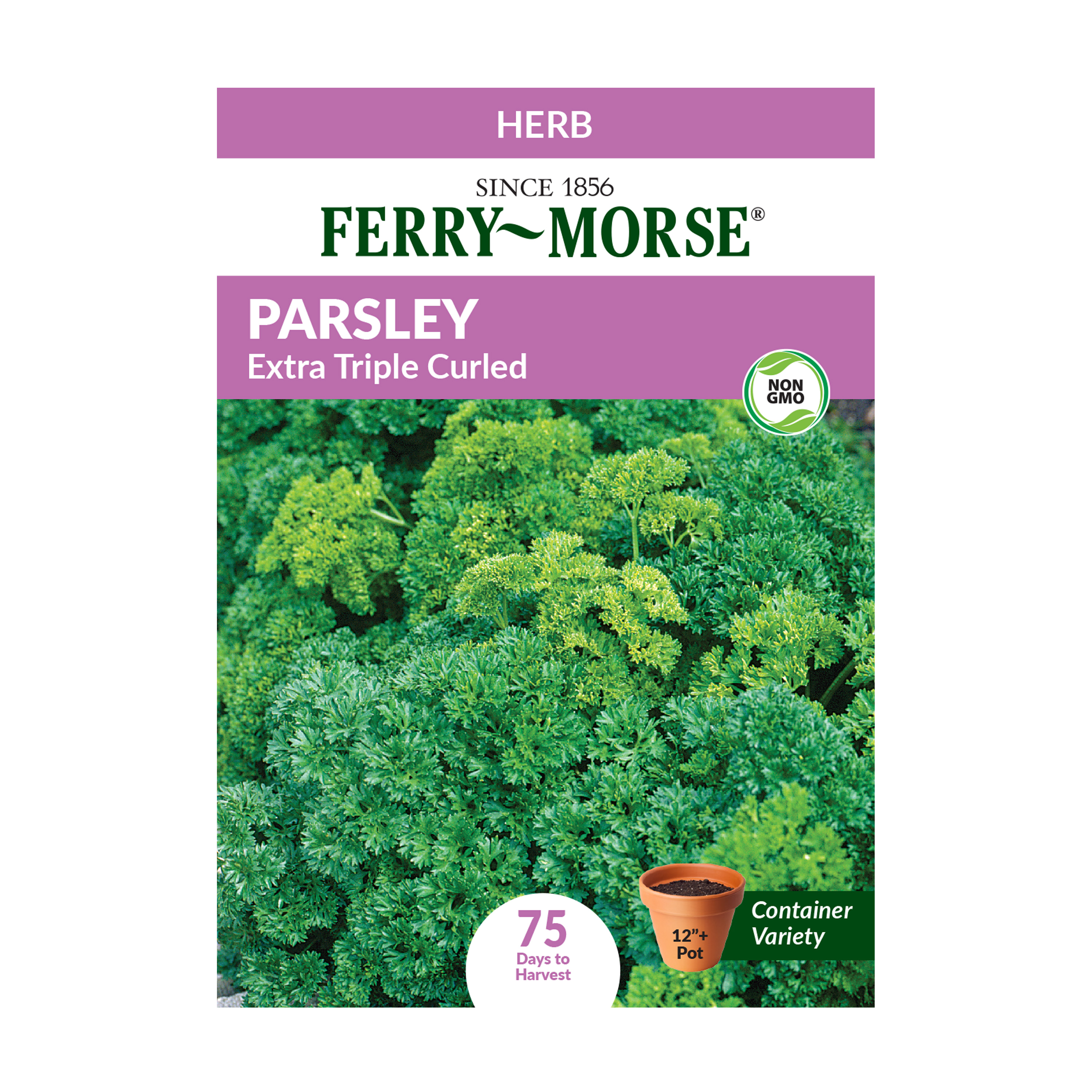 FerryMorse 75MG Parsley Extra Triple Curled Herb Plant Seeds Packet