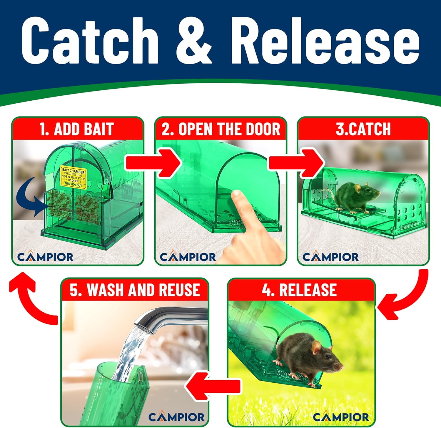 Campior Humane No-Kill Mouse Trap, Large, Indoor, Child & Pet Safe, Easy to Clean, 6-Pack, Green