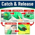 thumbnail image 4 of Campior Humane No-Kill Mouse Trap, Large, Indoor, Child & Pet Safe, Easy to Clean, 6-Pack, Green, 4 of 5