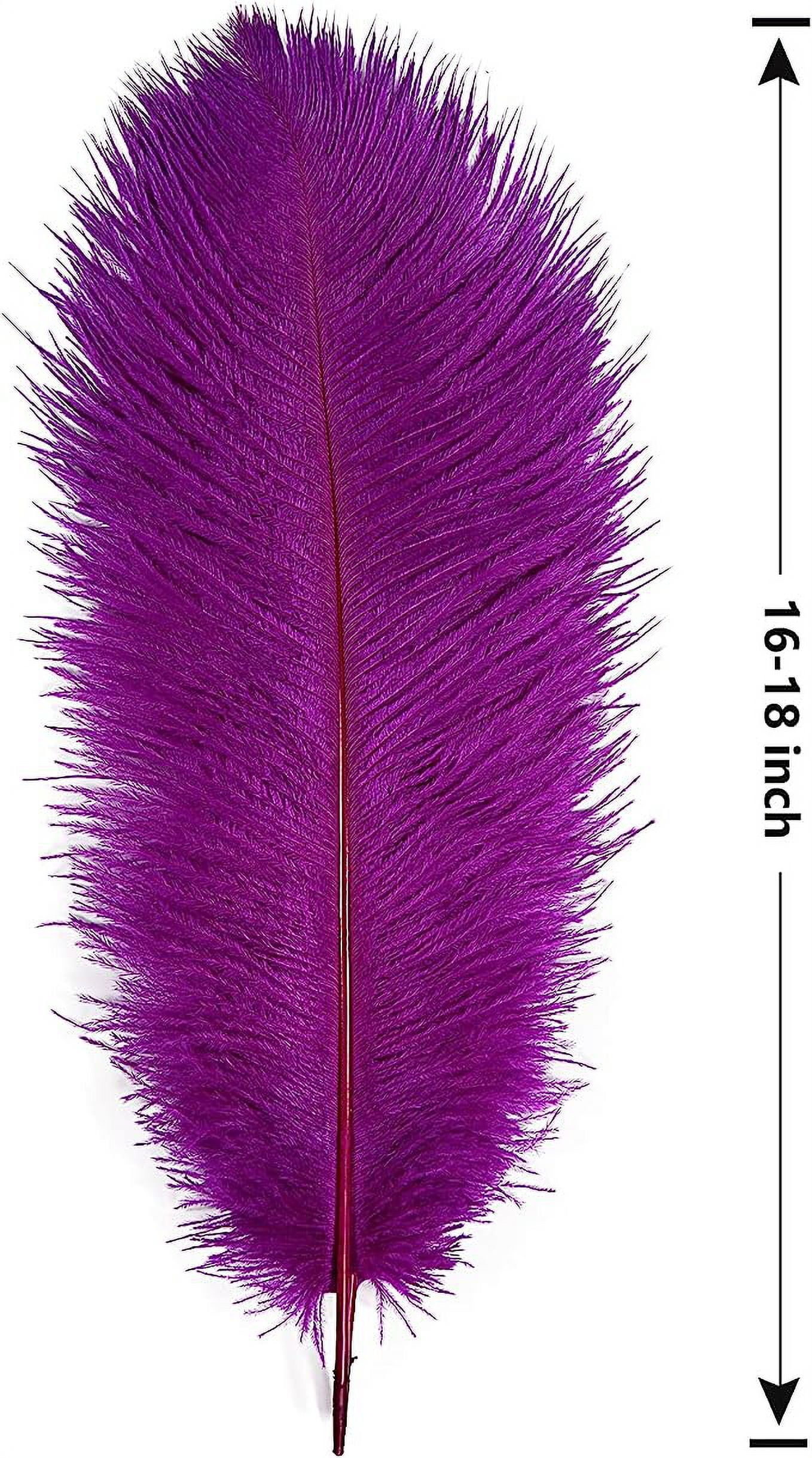 Namzi 12pcs Purple Ostrich Feathers Natural Bulk 16-18Inch 40cm-45cm for Wedding Party Centerpieces Easter Gatsby and Home Decorate Ostrich Feathers