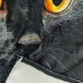 thumbnail image 5 of Super Soft Black Cat Print Flannel Blanket-Comfortable Multi-Purpose Blanket for All Seasons Warmth-Perfect Nap Blanket and Luxury Gift for Sofa Sofa Bed Camping and Travel, 5 of 7