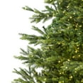 thumbnail image 4 of Northlight Real Touch™️ Pre-Lit Full Oregon Noble Fir Artificial Christmas Tree - 6.5' - Warm White, 4 of 9