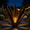Black-M+Light, variant on Unbranded 25.9 in Rustic Lighted Agave Garden Statues, UV Resistant