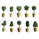 thumbnail image 5 of , Planta , Flor, Mini Bonsais con Maceta, Decoración Interior para Al 1, 5 of 9