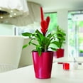 thumbnail image 2 of DELTINI Shiny Taupe High Gloss, Self-watering Small Indoor Planter, H7.5 L5.9 W5.9 in, 2 of 7
