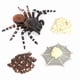 thumbnail image 1 of Set de figuras Velvet Spider Growth Cycle, 4 piezas, PVC para niños, 1 of 2