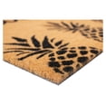 thumbnail image 5 of Pineapple Express Doormat, 17" x 29", 5 of 9