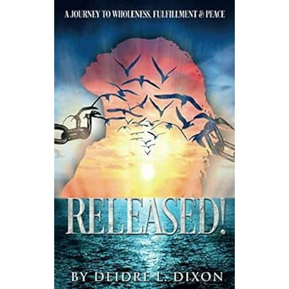 Released!: A Journey to Wholeness, Fulfillment & Peace (Paperback)