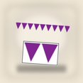 thumbnail image 2 of 12 Pack Bulk Purple Party Pennant Banner, 2 of 6