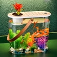 thumbnail image 1 of Peggybuy Plastic Clear Table Fish Bowl Shatterproof Hydroponics for Home Office Decor, 1 of 9