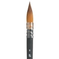 thumbnail image 1 of CEPILLO DIXON TIC/PRINCETON DIXON TIC/PRINCETON BRUSH  PB4850Q6, 1 of 1