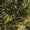 Woods Camo, variant on Boulder Creek By Kingsize Men's Big & Tall Heavyweight Jersey Crewneck T-Shirt