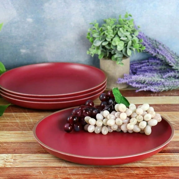 4-Piece Melamine Dinner Plate Set in Dark Pink