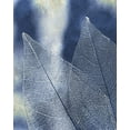 thumbnail image 2 of Kimberly, Allen 26x32 White Modern Wood Framed Museum Art Print Titled - Transparent Leaves 2, 2 of 4