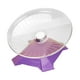 thumbnail image 4 of Rueda de ejercicio para hámster, rueda para correr para hámster, disco giratorio redondo de entrenamiento anti Violeta, 4 of 9