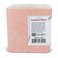 Compressed Himalayan Salt Animal Lick 5.5 lb (Block w/ Hole) - Walmart.com