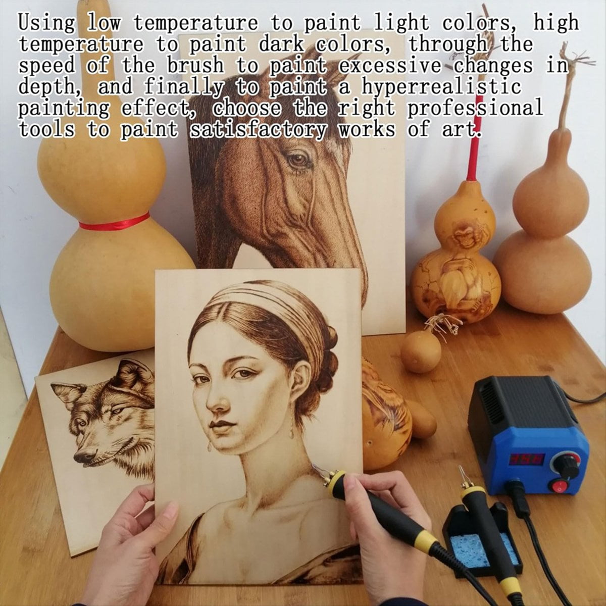 , Wood Burning Tool, Digitally Adjustable Temperature Wood Burner Kit, Wood Burner Tool Kit US Plug