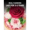 thumbnail image 2 of Rosa preservada FIACO Forever Fresh Flowers en cúpula de cristal, 2 of 7