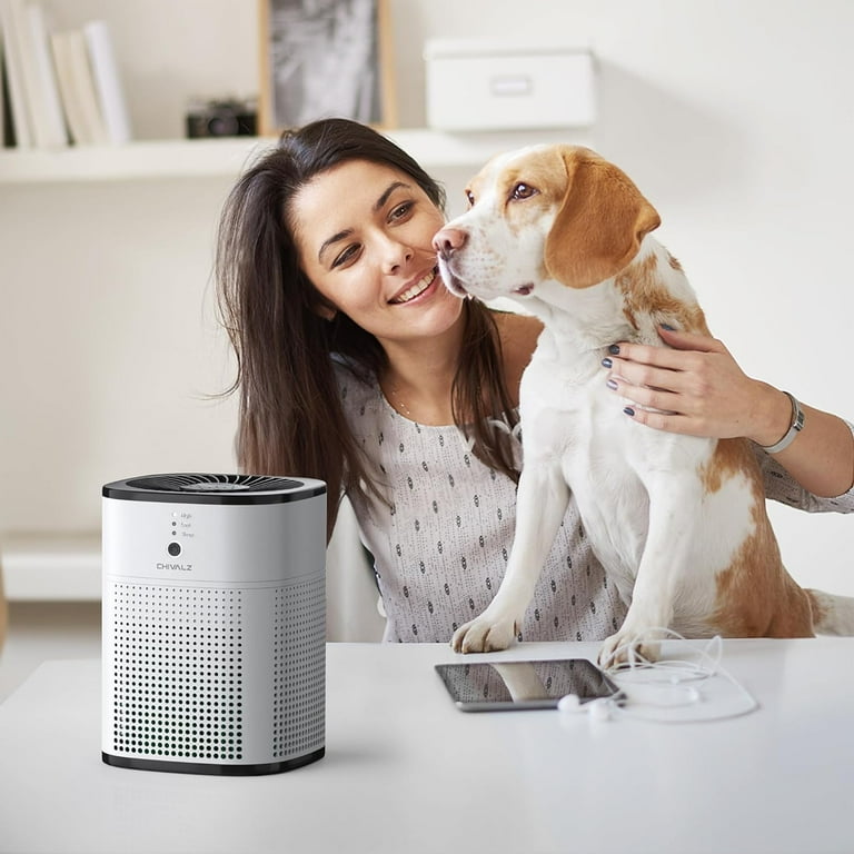 Air Purifiers for Bedroom Air Purifiers for Home Bedroom Quiet Air Cleaner with 24dB Sleep Mode True HEPA Filter for pet Black 2 Pack Walmart