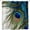 -, variant on Shower Curtain,Peacock Feather Eye Waterproof Fabric Bathroom Shower Curtains,72 x 72 Inch, Colorful