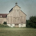 thumbnail image 3 of Urquhart, Elizabeth 12x12 Black Modern Framed Museum Art Print Titled - Neutral Country IV Crop, 3 of 5