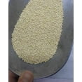 thumbnail image 3 of RED & WHITE Millet Seed Wild Bird Food Raw & Recleaned!, 3 of 4