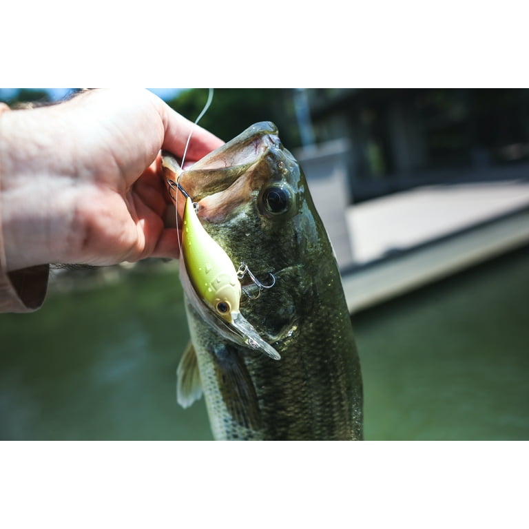 shakespeare ugly stik gx2 specs Ugly Stik GX2 Spinning Combo