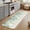 DarkSeaGreen CadetBlue, variant on Small Door Mat Indoor Outdoor 15.7"x23.6", Sage Green Eucalyptus Absorbent Non Slip Entry Rug, Watercolor Botanical Leaves Low Profile Welcome Mat for Front/Side Door Apartment Entrance Bathroom