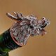 thumbnail image 2 of Wine Cork Liqueur Whiskey Bottles Faucet, 2 of 5