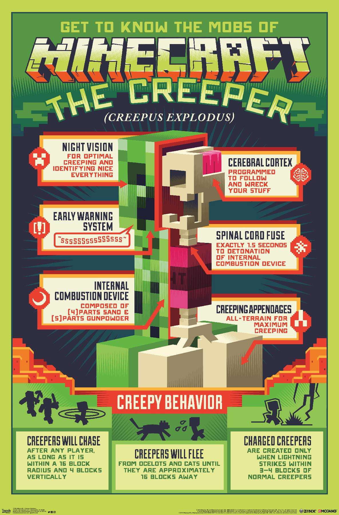 Minecraft Creeper Anatomy Wall Poster, 22.375" x 34"