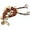 Multicolor, variant on Meinl Ajuch Bells | Large