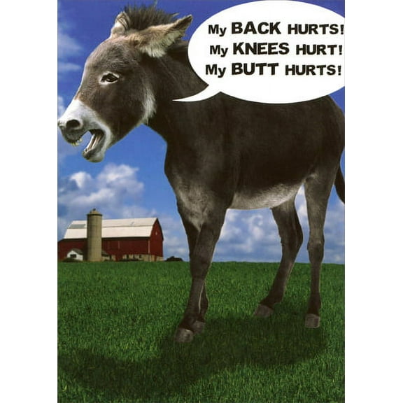 Recycled Paper Greetings Donkey My Back Hurts Funny / Humorous Birthday Card