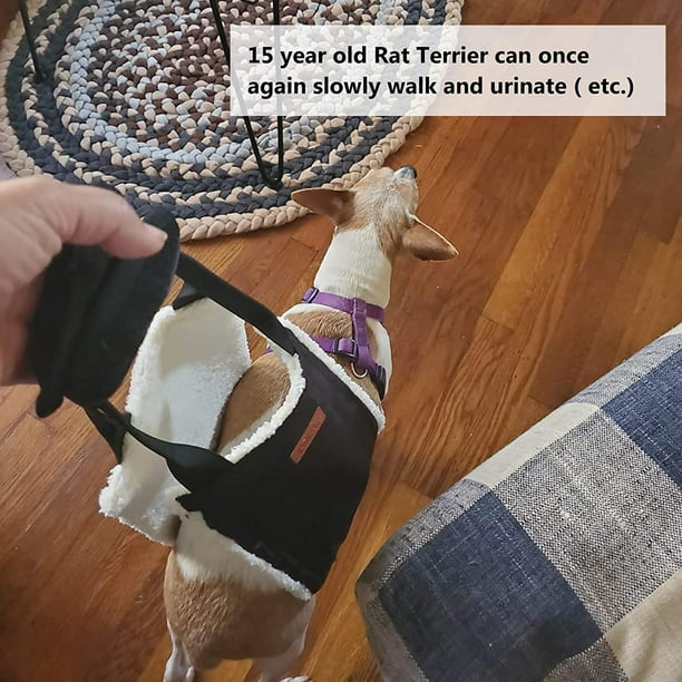 Cabestrillo de elevación para perros, el arnés de apoyo a la pérdida de estabilidad causado por lesiones articulares, levantador de piernas Salvador Eslinga de elevación para mascotas