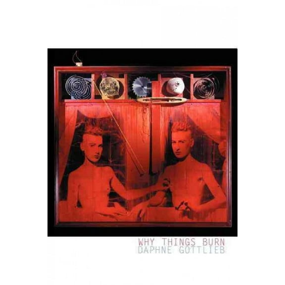 Why Things Burn : Poems (Paperback)