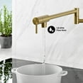thumbnail image 4 of Ivy Retractable Wall-Mounted Pot Filler in Brushed Gold, 4 of 7