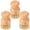 3 Pack, variant on AEVXKHI 3 Packs Wooden Dish Brush, Natural Bamboo Dish Scrub Brush, Sisal Bristles Dish Scrubber Brush, Kitchen Scrub Brush with Handle and Hanging Rope for Cleaning