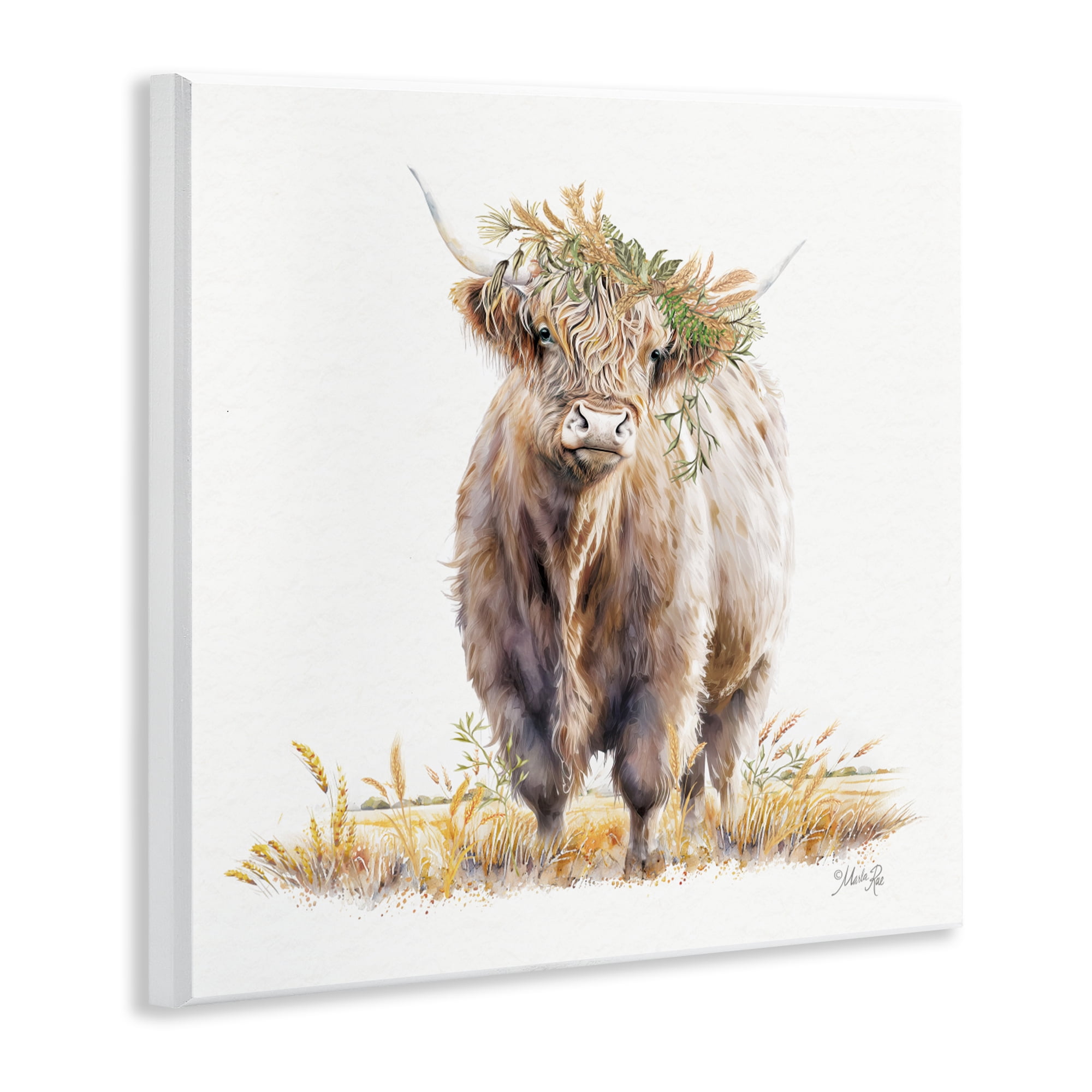 Stupell Industries Ollie the Highland Cattle Wall Plaque Art, design by Marla Rae