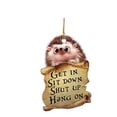 thumbnail image 1 of Less Than 5 Hangs Animal Lover Two Sided Ornament Car Hanging, 1 of 1