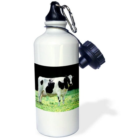 

3dRose Holstein Cow Sports Water Bottle 21oz