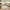 AR02-Tan and Orange, variant on SIXHOME 8'x10' Area Rugs for Living Room Washable Rug Vintage Medallion Living Room Rug Distressed Soft Carpet Large Area Rugs for Bedroom Dinning Room Office Indoor Retro Home Decor Taupe
