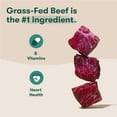 thumbnail image 2 of Jinx Beef, Brown Rice, & Sweet Potato Dry Dog Food, 30lb Bag, 2 of 11