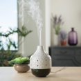 thumbnail image 3 of Airome Botanical Large Ceramic Essential Oil Diffuser250 mL Humidifying Ultrasonic Aromatherapy Diffuser 8 Colorful LED Lights, Up to 24 Hours Intermittent & Continual Mist with Auto Shut-Off, White, 3 of 4