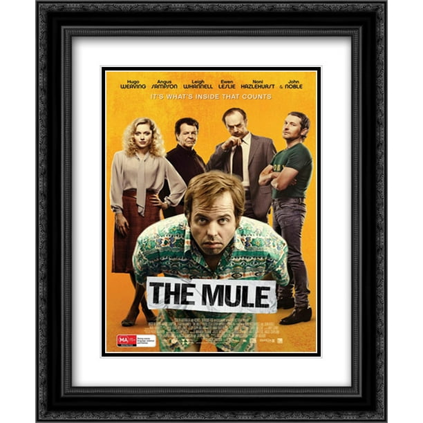 The Mule (DVD) | ppgbbe.intranet.biologia.ufrj.br
