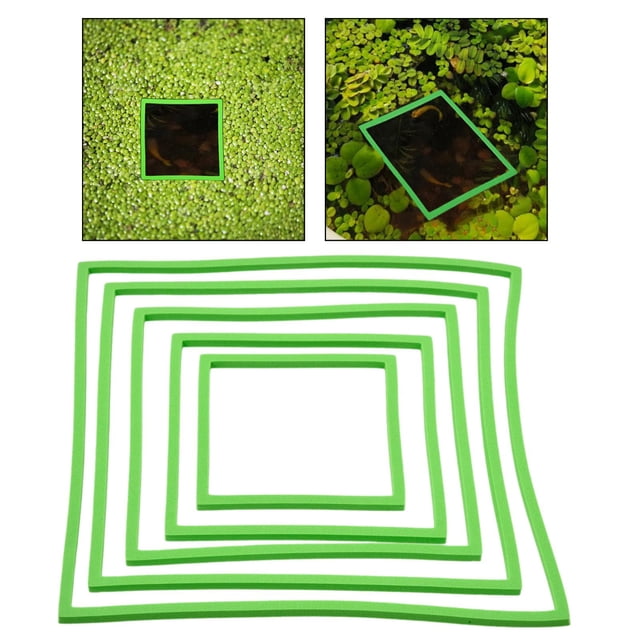 Anillos de alimentación de peces para Corral de plantas flotantes portátiles, 5 uds., intercepta plantas flotantes, anillos de plantas flotantes para Verde