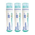 thumbnail image 1 of Boiron Ruta Graveolens – Médicament Homéopathique, Boîte de 3 Tubes (4 g Chacun, Env. 80 Pastilles par Tube), 1 of 6